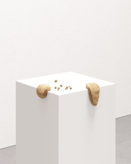Cookie rendering by Robert Fehse for the furniture series 