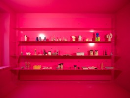 ErtlundZull planned and produced the new flower shop of Studio Linné in Berlin Kreuzberg, 2022. Under the creative direction of Ayscha Omar and Simon Ertl. Involving a cute steel counter, stairs, a floral portal to the pink showcasing room with a pink shelving, a moving freeform mirror and metal curtain with flower tiebacks inspired by an idea of Atefa Omar. Development, production and installation by ErtlundZull. Photos by Studio Bowie. ErtlundZull