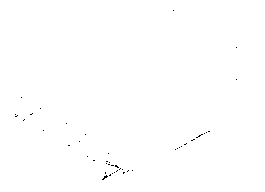 Art Production for Florentina Holzingers work